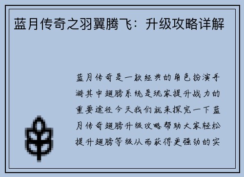 蓝月传奇之羽翼腾飞：升级攻略详解
